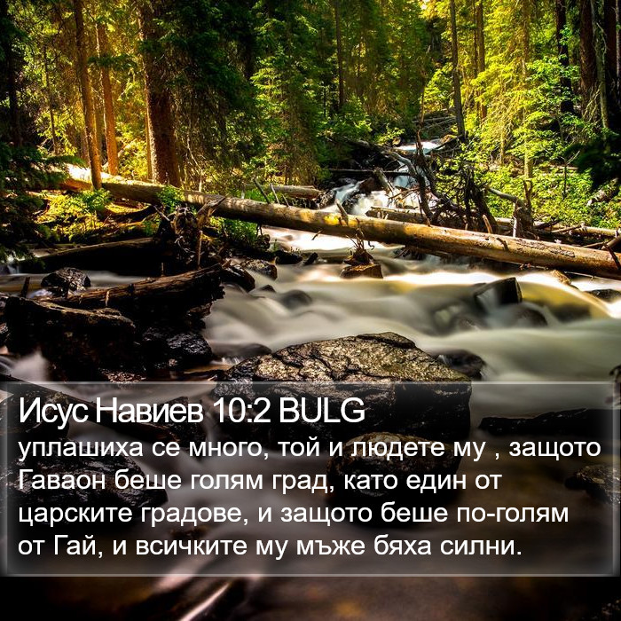 Исус Навиев 10:2 BULG Bible Study