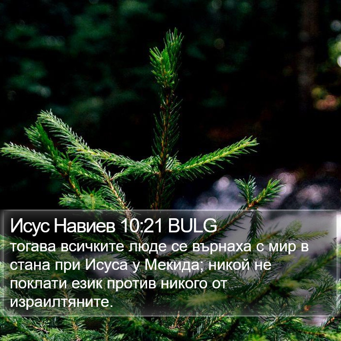 Исус Навиев 10:21 BULG Bible Study