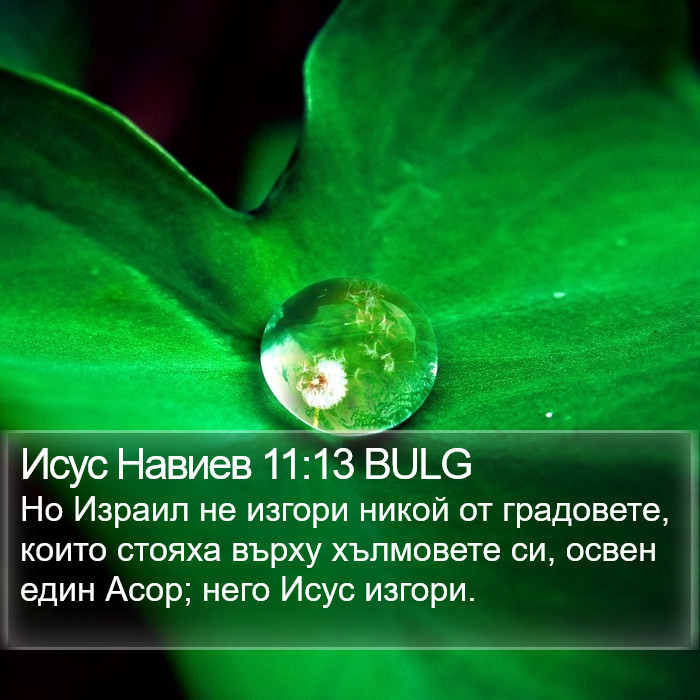 Исус Навиев 11:13 BULG Bible Study