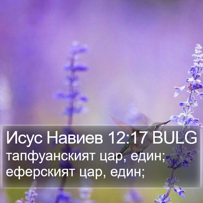 Исус Навиев 12:17 BULG Bible Study