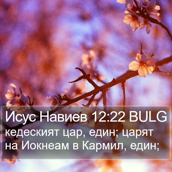 Исус Навиев 12:22 BULG Bible Study