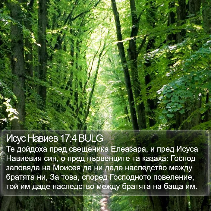 Исус Навиев 17:4 BULG Bible Study