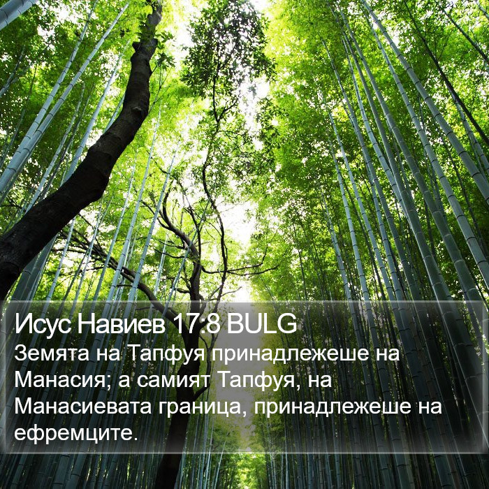 Исус Навиев 17:8 BULG Bible Study