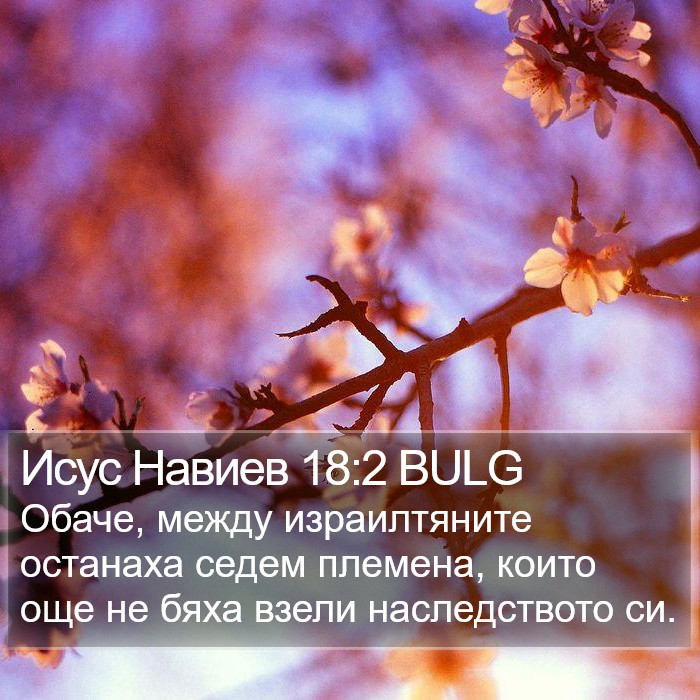 Исус Навиев 18:2 BULG Bible Study