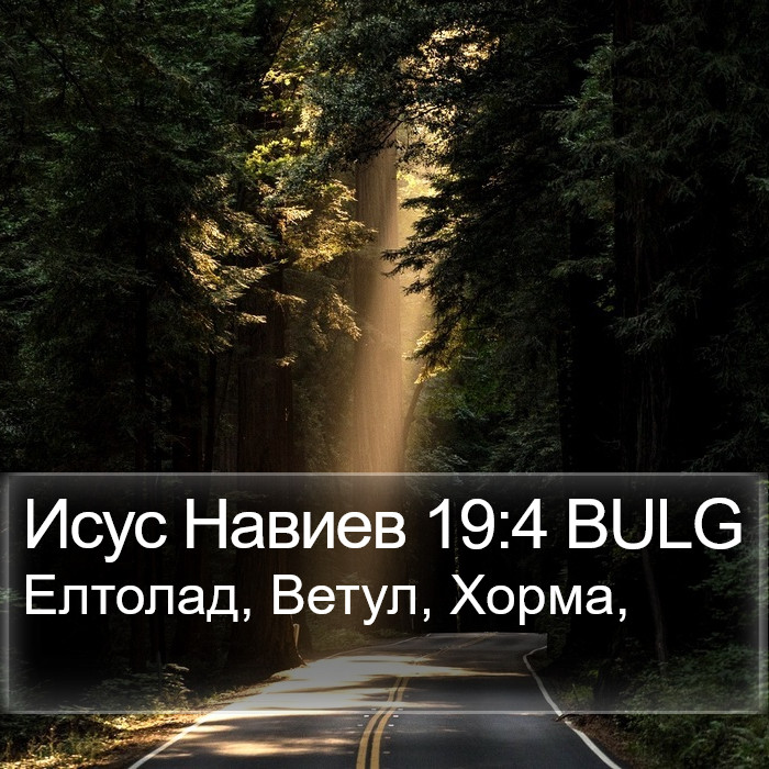 Исус Навиев 19:4 BULG Bible Study