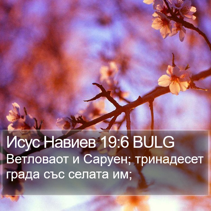 Исус Навиев 19:6 BULG Bible Study