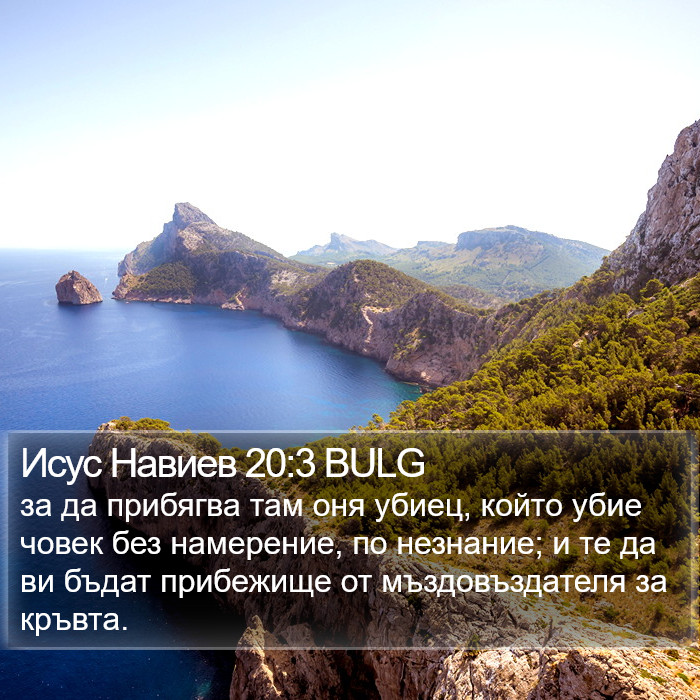 Исус Навиев 20:3 BULG Bible Study