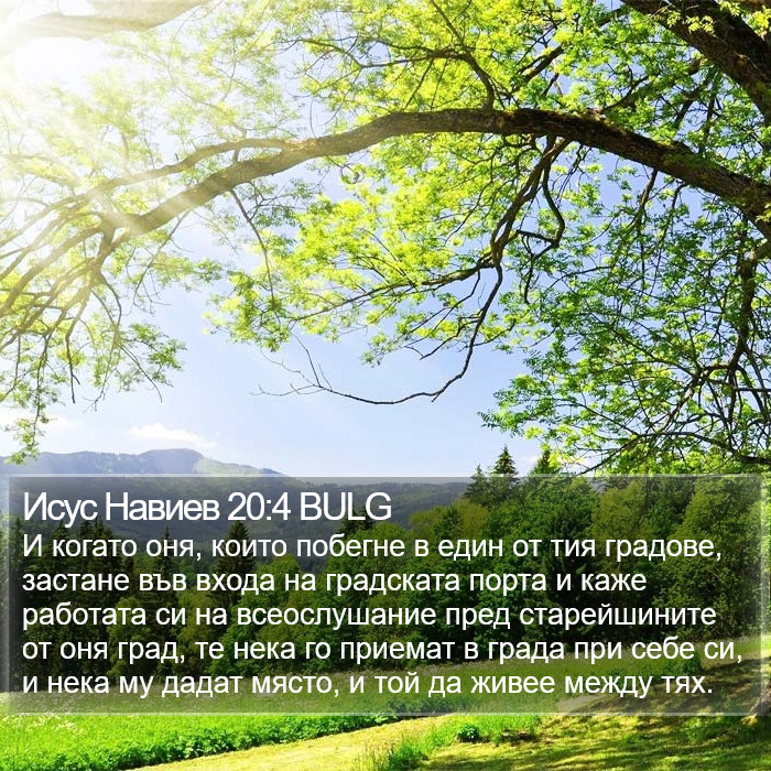 Исус Навиев 20:4 BULG Bible Study