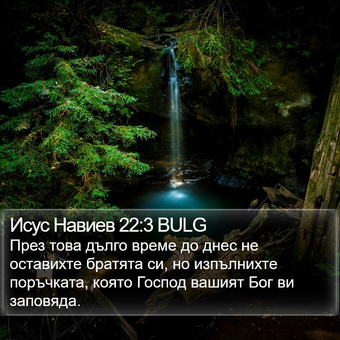 Исус Навиев 22:3 BULG Bible Study