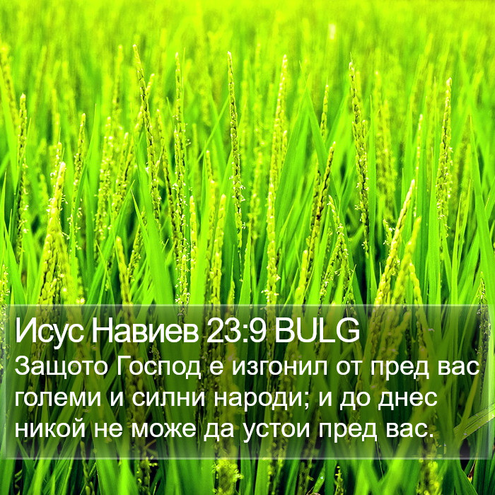 Исус Навиев 23:9 BULG Bible Study