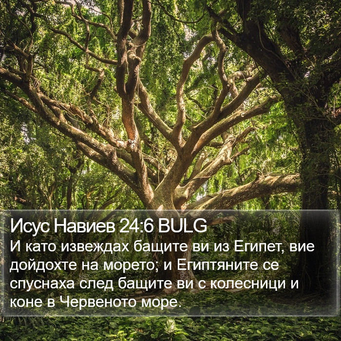 Исус Навиев 24:6 BULG Bible Study