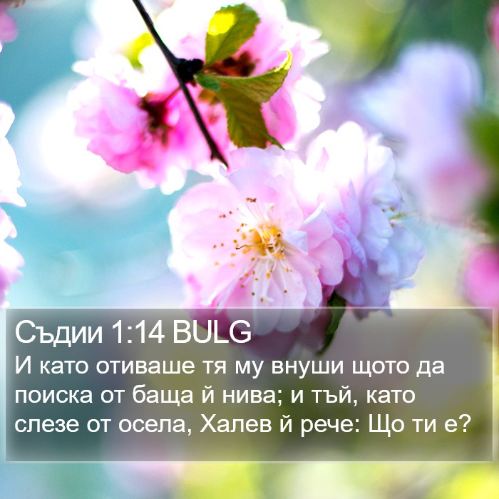 Съдии 1:14 BULG Bible Study