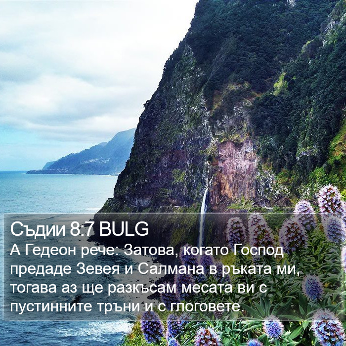 Съдии 8:7 BULG Bible Study