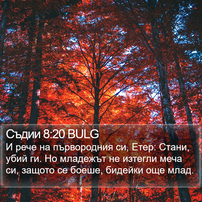 Съдии 8:20 BULG Bible Study