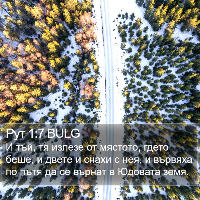 Рут 1:7 BULG Bible Study