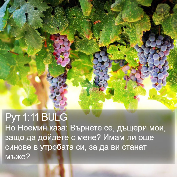 Рут 1:11 BULG Bible Study