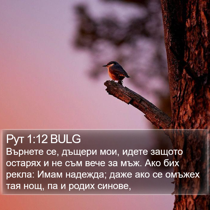 Рут 1:12 BULG Bible Study