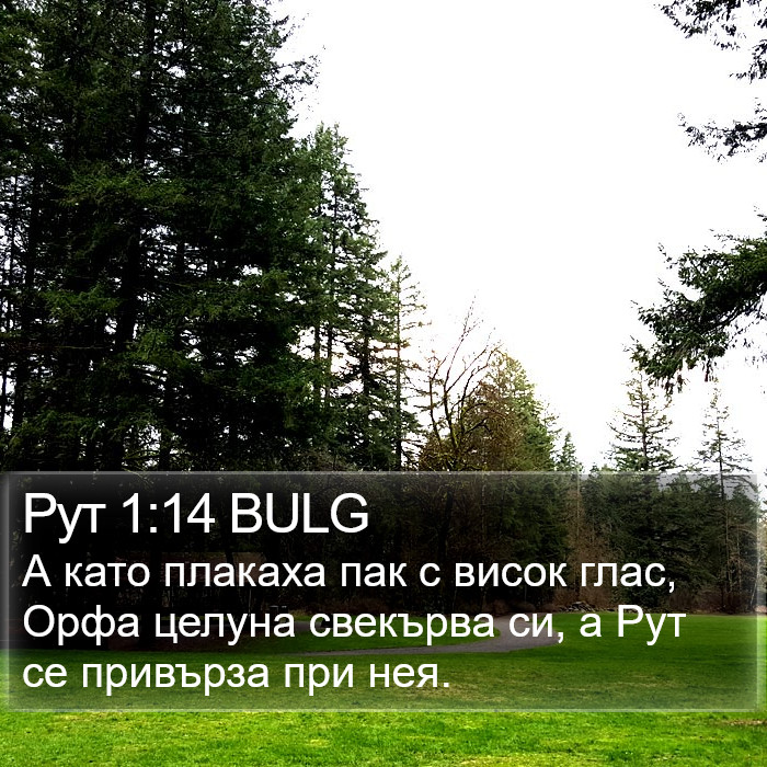 Рут 1:14 BULG Bible Study