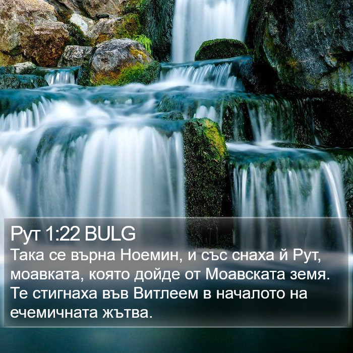 Рут 1:22 BULG Bible Study