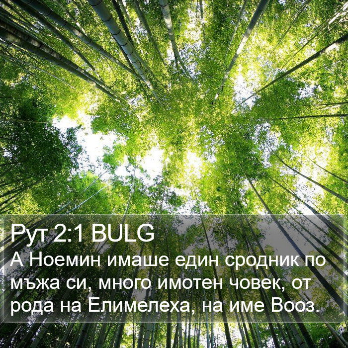 Рут 2:1 BULG Bible Study