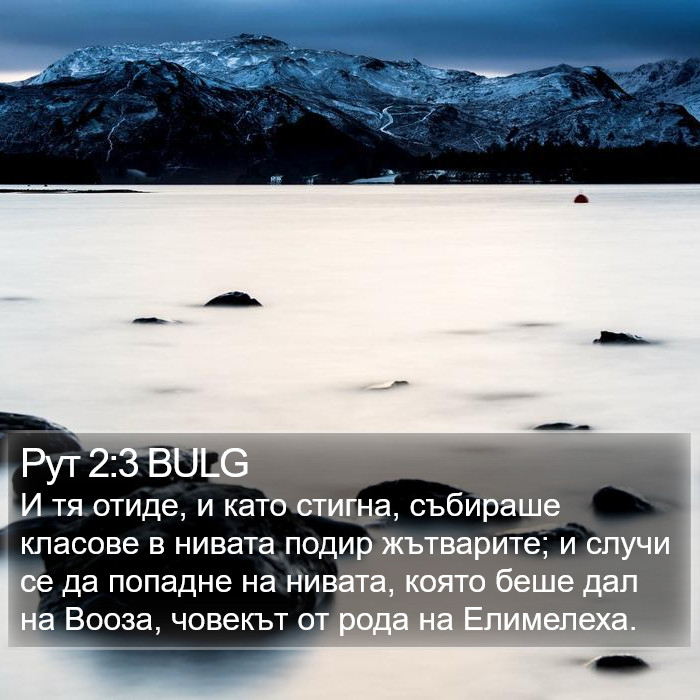 Рут 2:3 BULG Bible Study