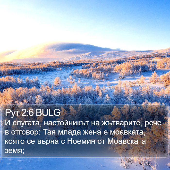 Рут 2:6 BULG Bible Study