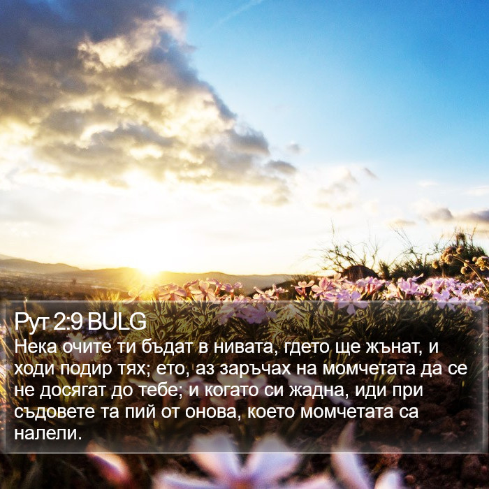 Рут 2:9 BULG Bible Study