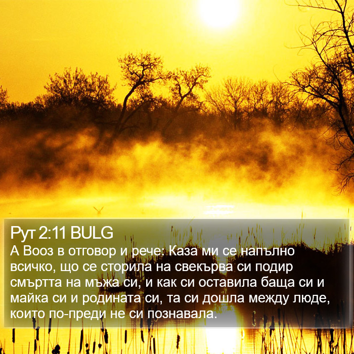 Рут 2:11 BULG Bible Study