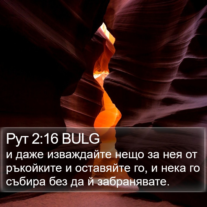 Рут 2:16 BULG Bible Study