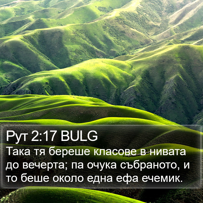 Рут 2:17 BULG Bible Study