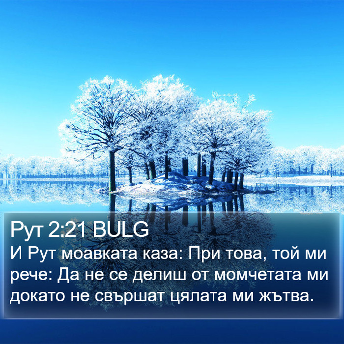 Рут 2:21 BULG Bible Study