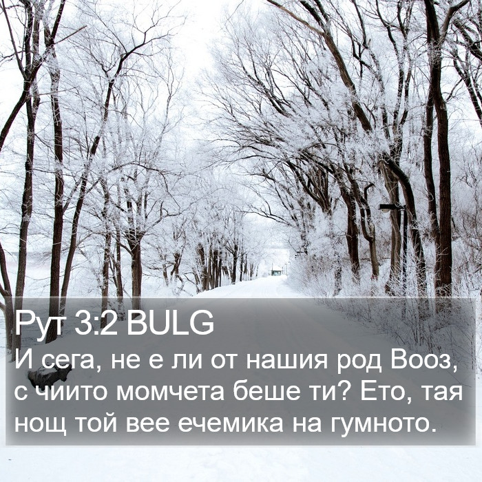 Рут 3:2 BULG Bible Study