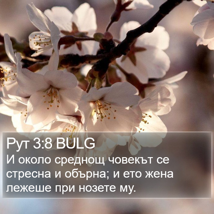 Рут 3:8 BULG Bible Study