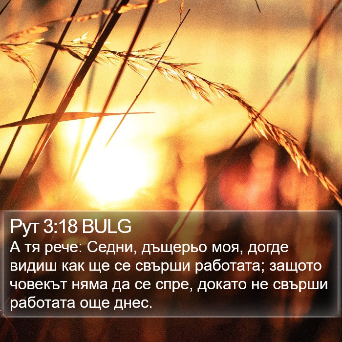 Рут 3:18 BULG Bible Study