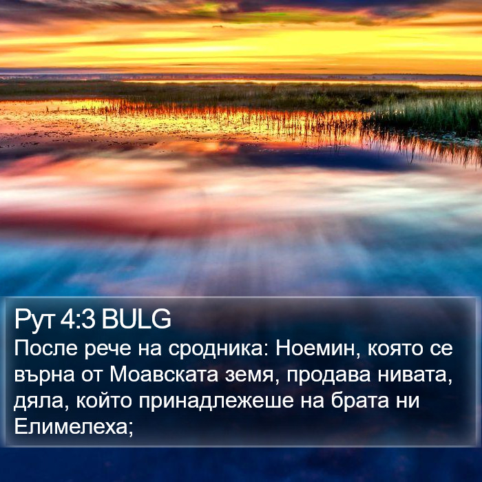 Рут 4:3 BULG Bible Study