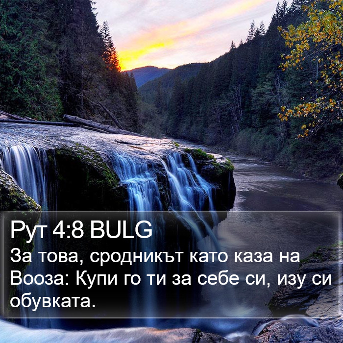 Рут 4:8 BULG Bible Study