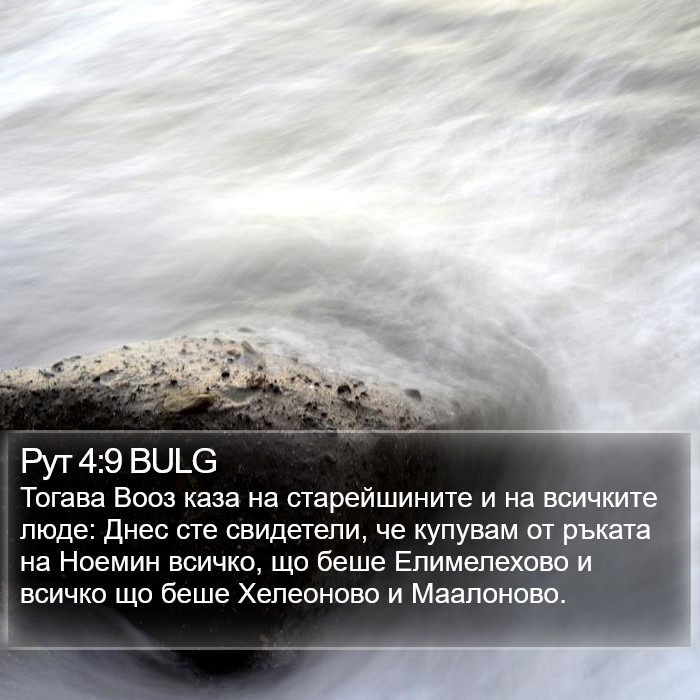 Рут 4:9 BULG Bible Study