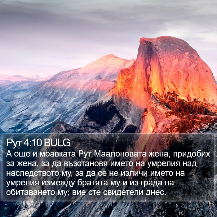 Рут 4:10 BULG Bible Study