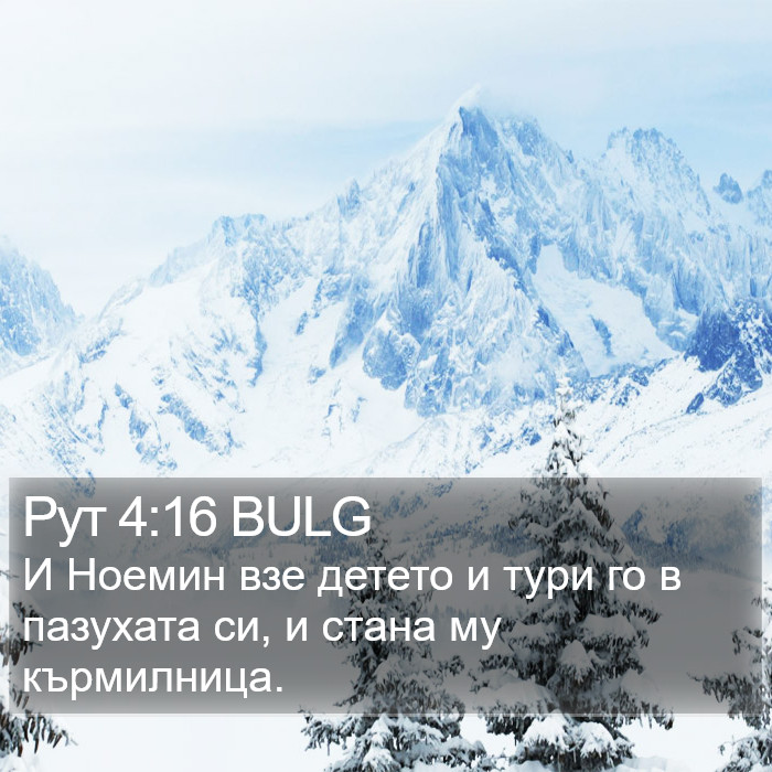 Рут 4:16 BULG Bible Study