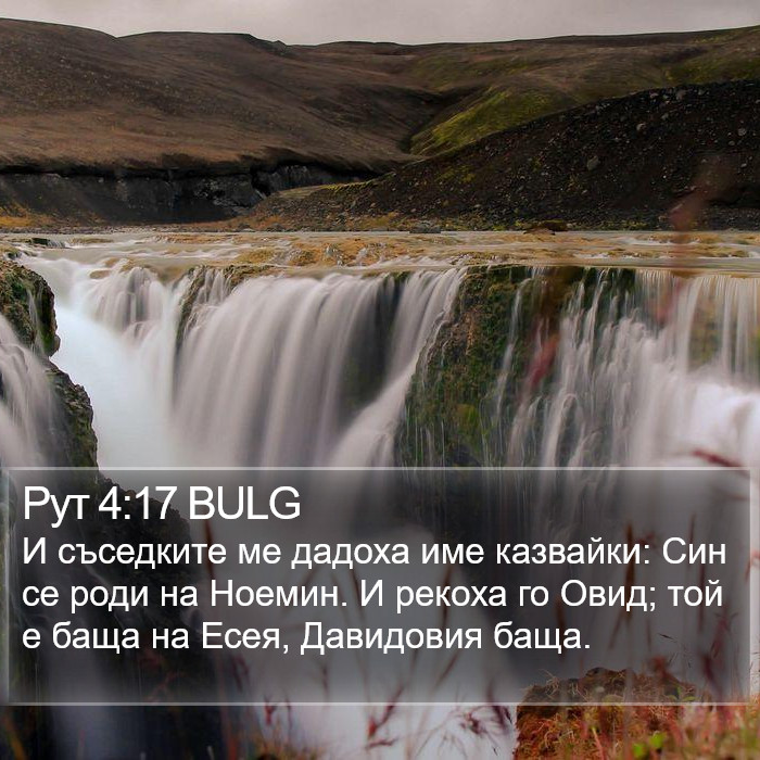 Рут 4:17 BULG Bible Study