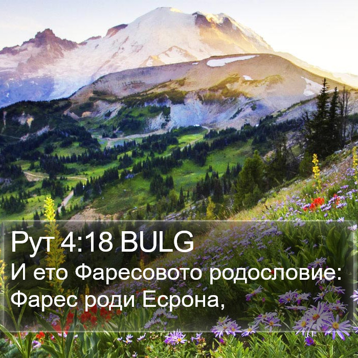 Рут 4:18 BULG Bible Study