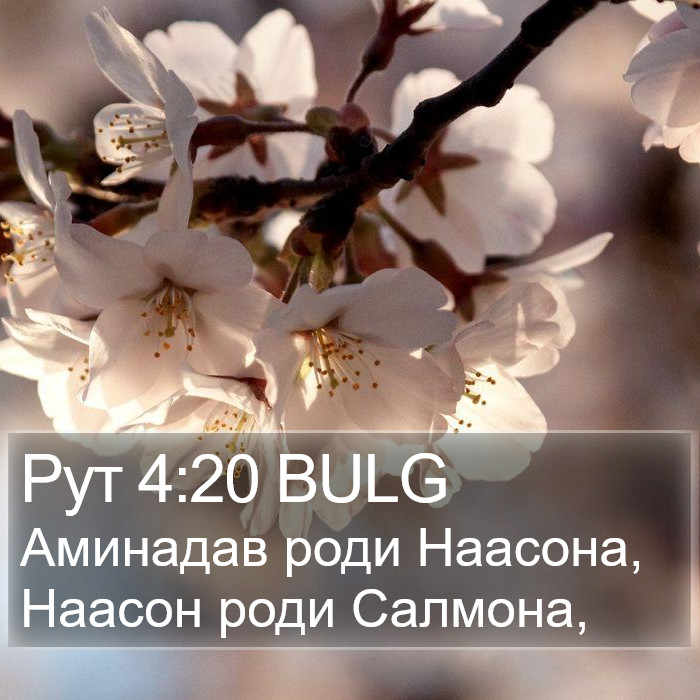 Рут 4:20 BULG Bible Study