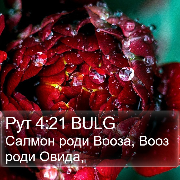 Рут 4:21 BULG Bible Study