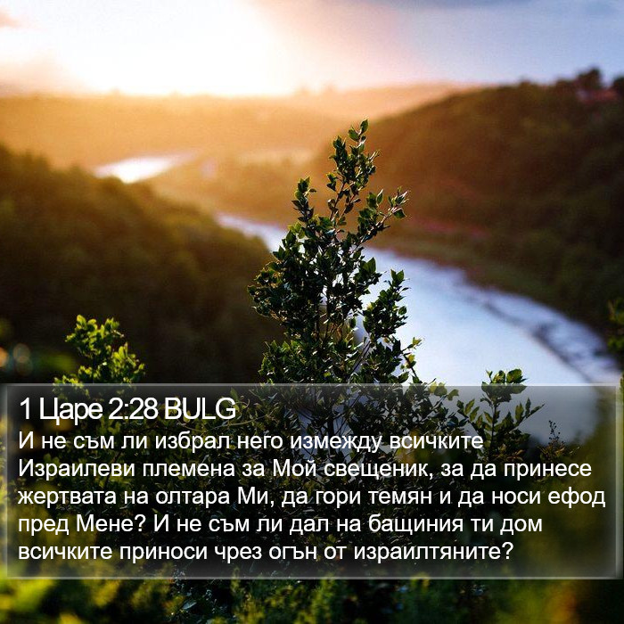 1 Царе 2:28 BULG Bible Study