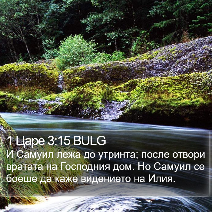 1 Царе 3:15 BULG Bible Study