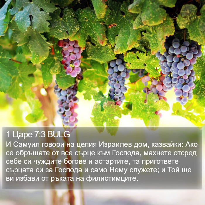 1 Царе 7:3 BULG Bible Study