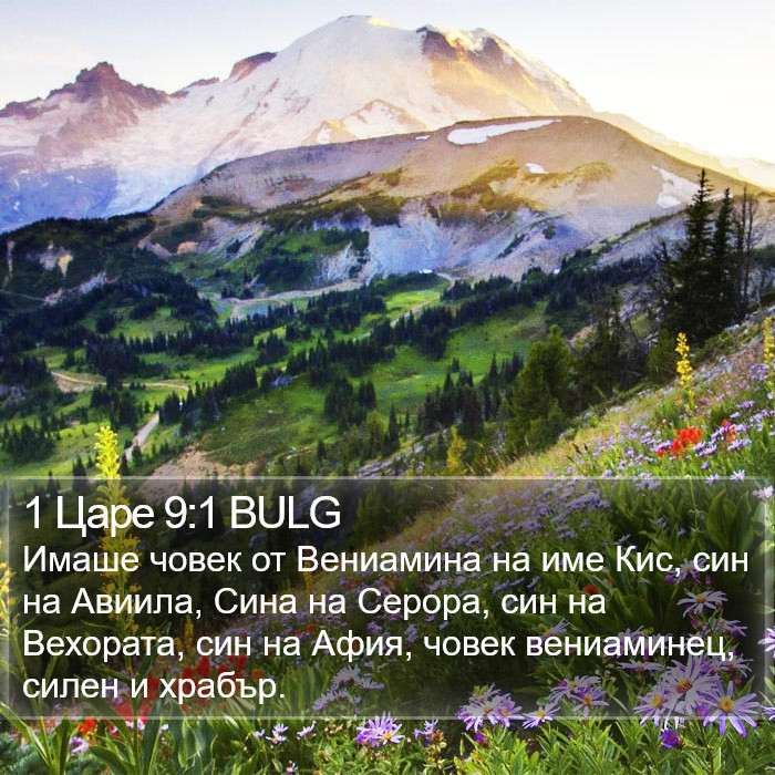 1 Царе 9:1 BULG Bible Study