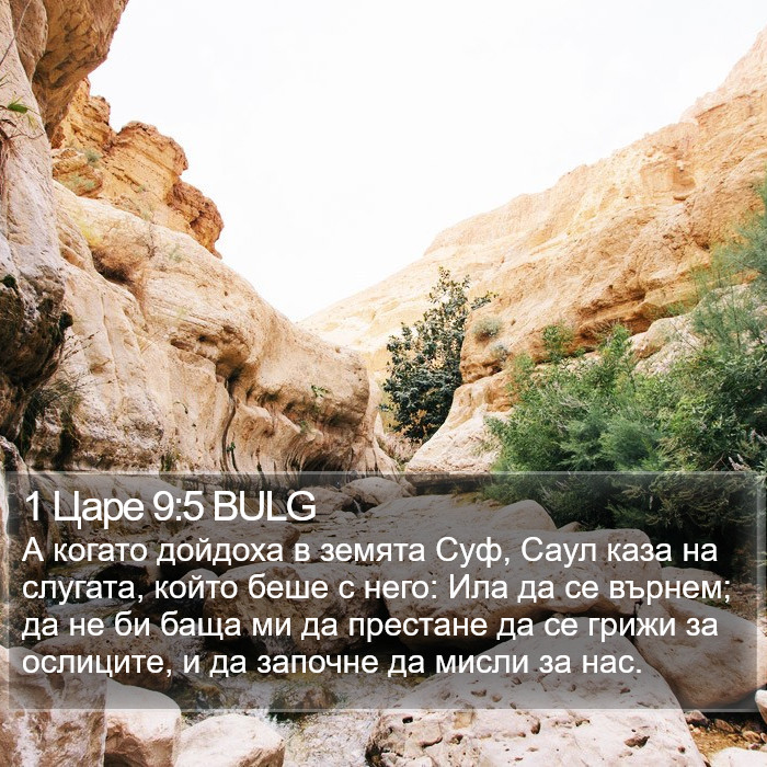 1 Царе 9:5 BULG Bible Study