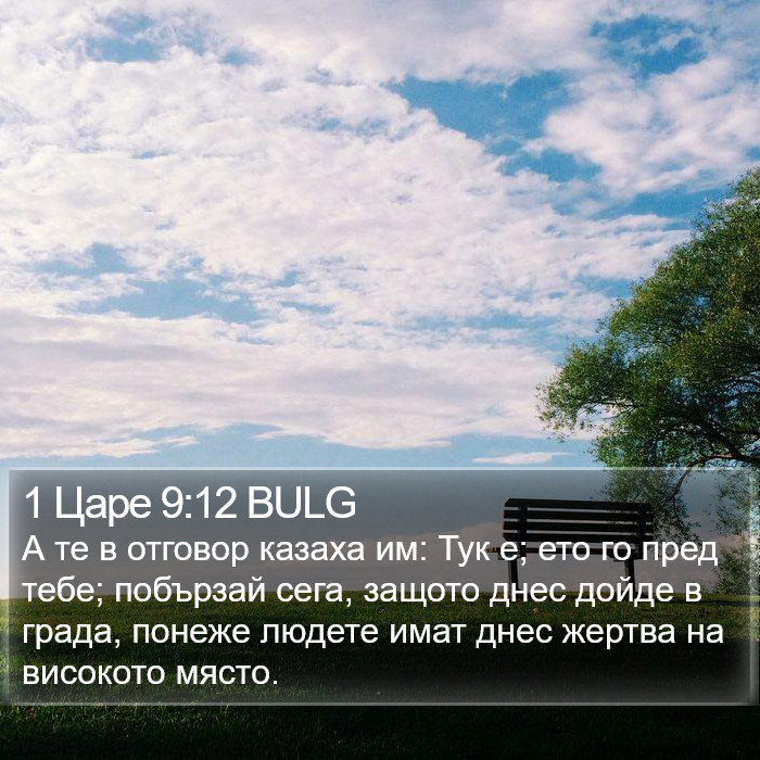 1 Царе 9:12 BULG Bible Study