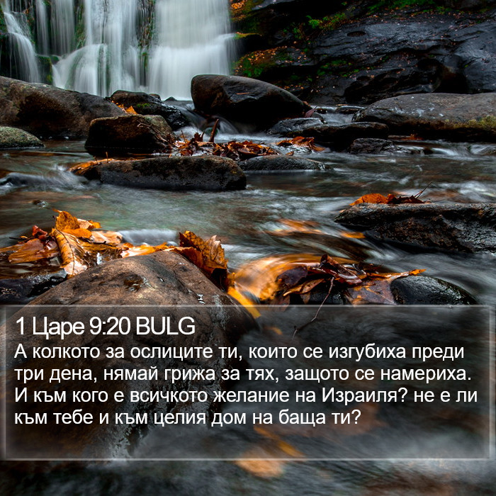 1 Царе 9:20 BULG Bible Study